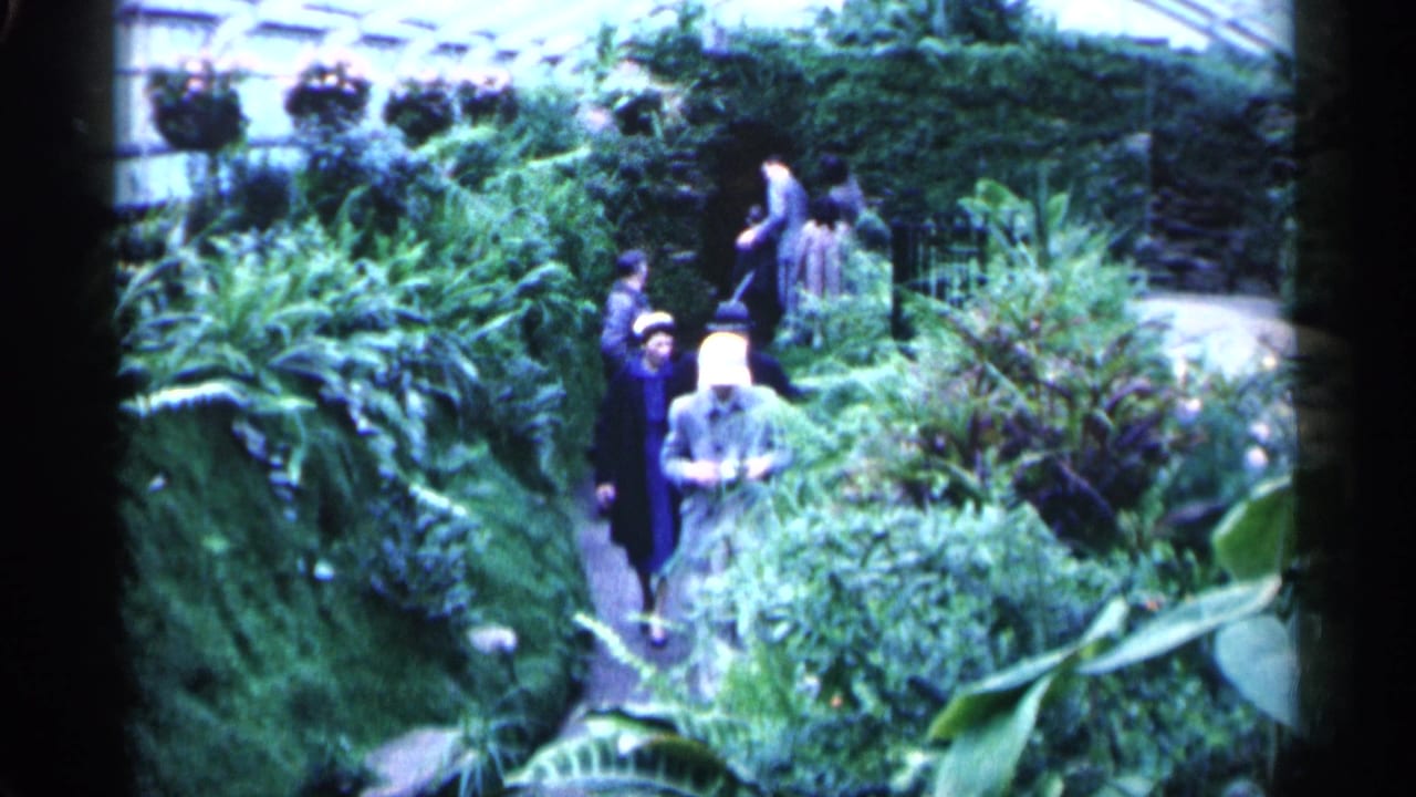 Visitors walk along a narrow path through dense greenhouse plants.