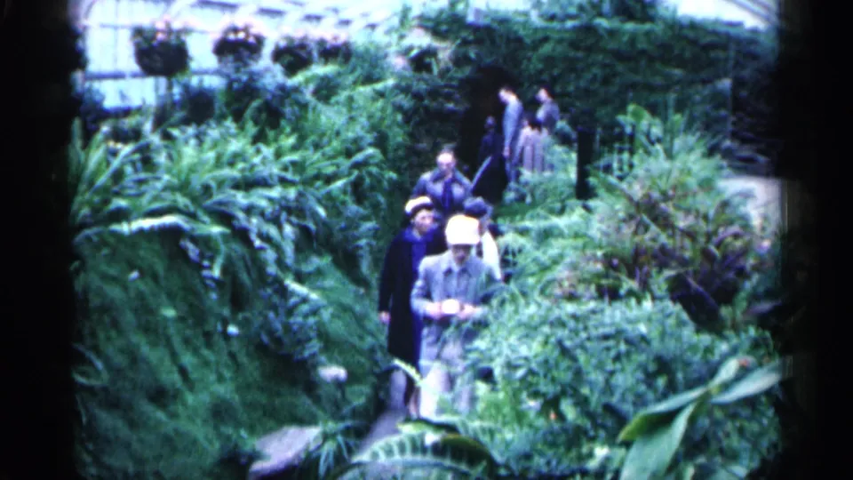 1961 Minnesota home-movie frame with visitors in hats and coats framed by dense greenhouse plants and hanging baskets.
