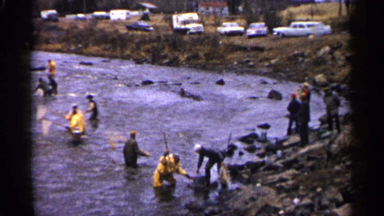 People wade in a shallow rocky river using nets while cars and trailers line the far bank.