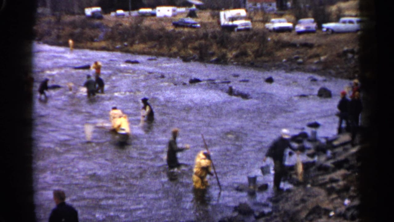 Several people stand in the river with nets and poles as others watch from the bank.