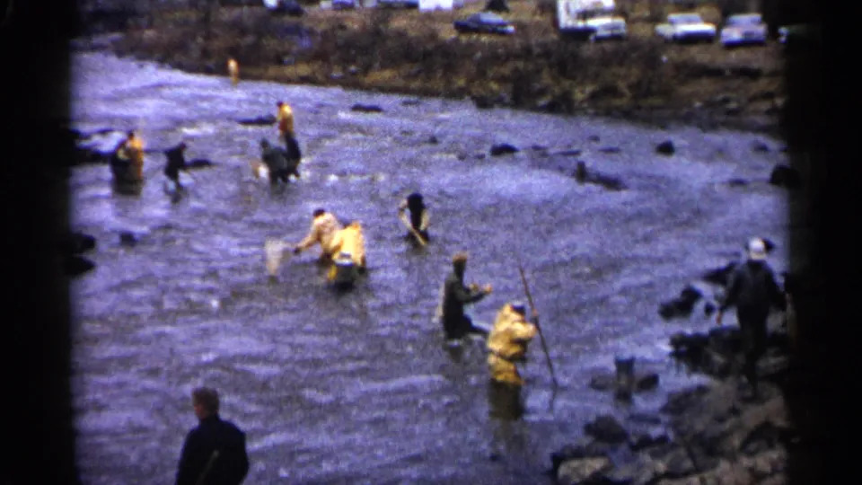 Home-movie view of a group net fishing in a rocky Minnesota river, with vintage vehicles on the bank above.