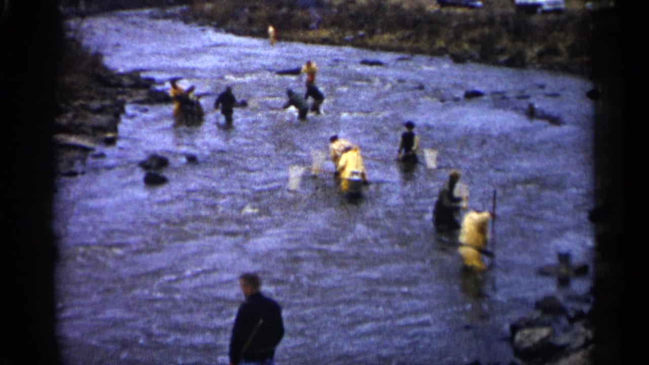 1961 Minnesota home-movie frame showing people in waders and rain gear using nets in a shallow river as a man watches from the bank.