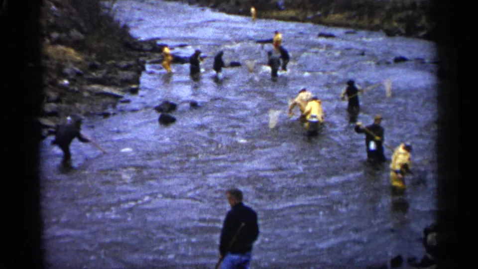 1961 Minnesota 8mm frame of several people working or fishing with nets in a shallow river, viewed from a slightly elevated bank.