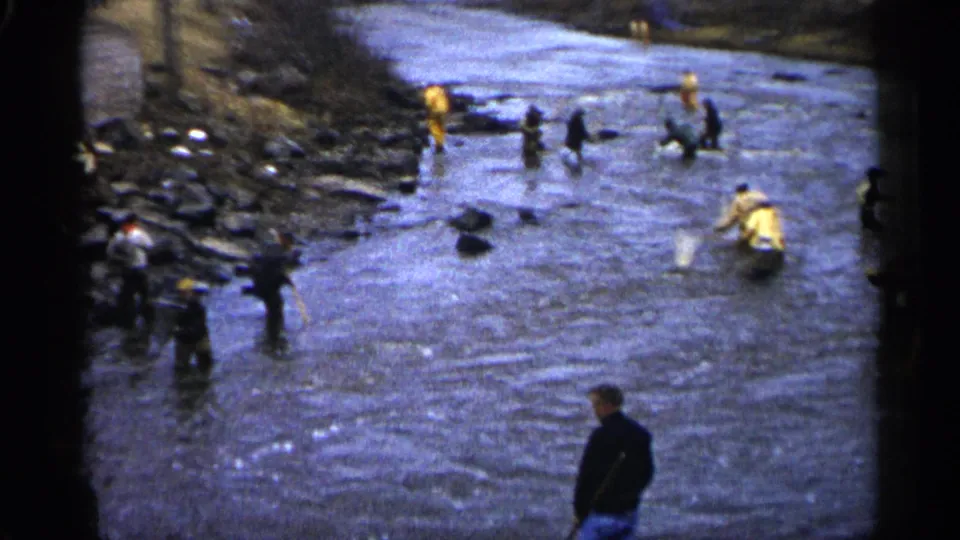 1961 Minnesota home-movie view of people spaced along a rocky stream, some carrying nets or long-handled tools.