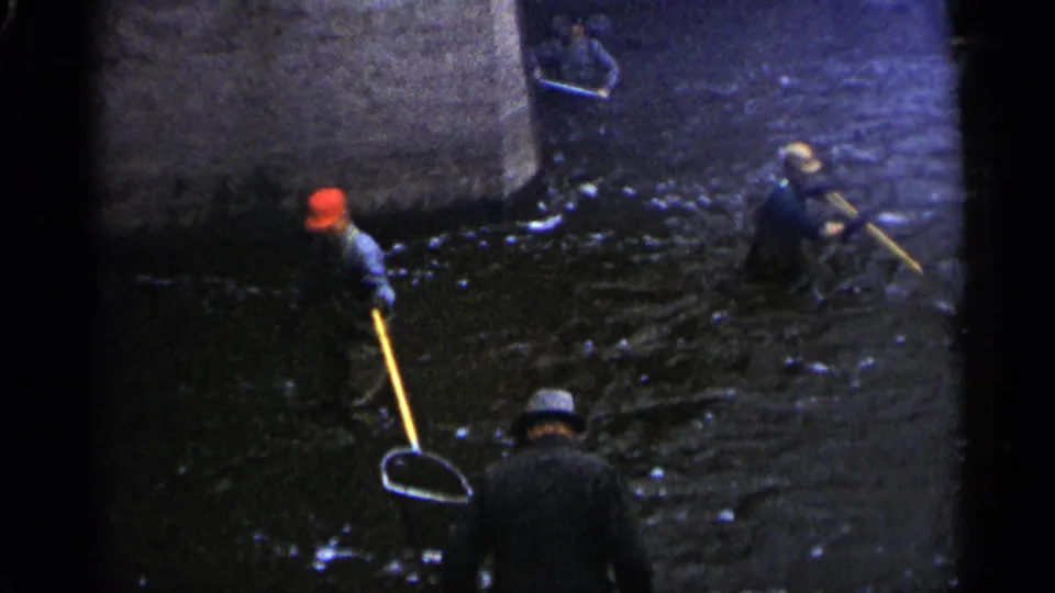 1961 Minnesota 8mm frame showing a closer bank-side view of people with long-handled nets at the edge of a shallow river.