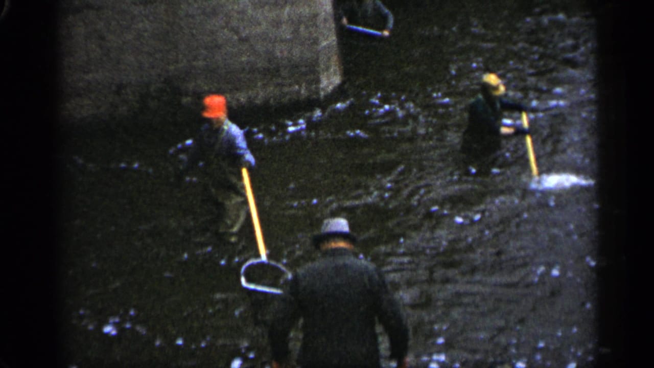 Men standing in a shallow river with long-handled nets, including one wearing a red cap.