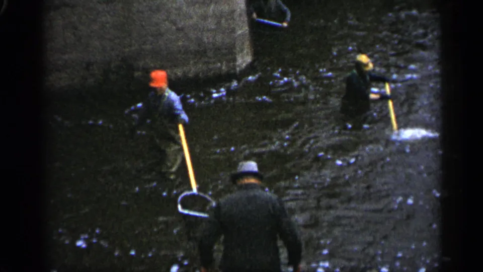 1961 Minnesota 8mm frame showing men in waders using long-handled nets in dark rippling river water near a concrete bank.