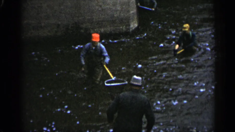 1961 Minnesota river fishing frame with a red-capped man carrying a dip net and other men positioned in shallow moving water.