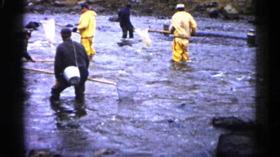 1961 Minnesota 8mm frame with men in dark waders and yellow rain gear holding nets and poles in a shallow river area.