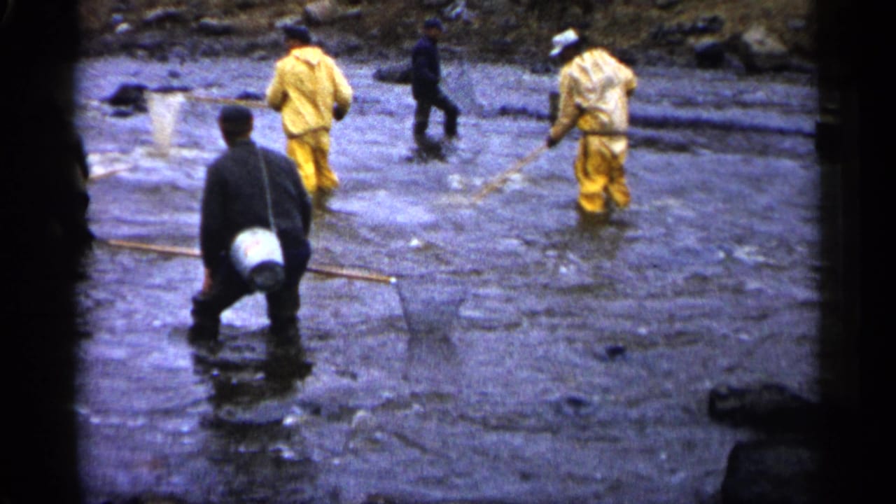 Men wade in a shallow rocky river with nets and rain gear.