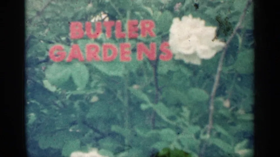 Red Butler Gardens text is seen over leafy plants, with a pale flower and visible 8mm grain and wear.