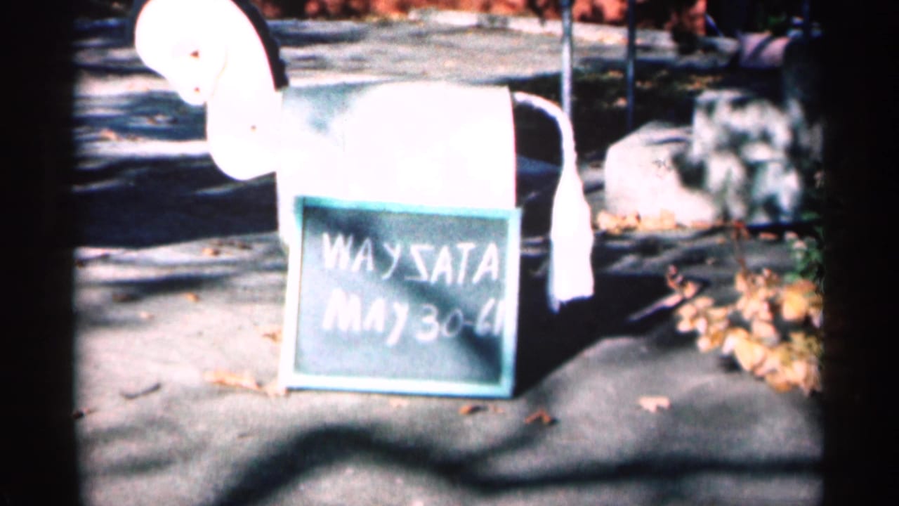 White horse-shaped mailbox with a chalkboard reading WAYSATA and May 30-61 on a sunny paved area in Minnesota footage.