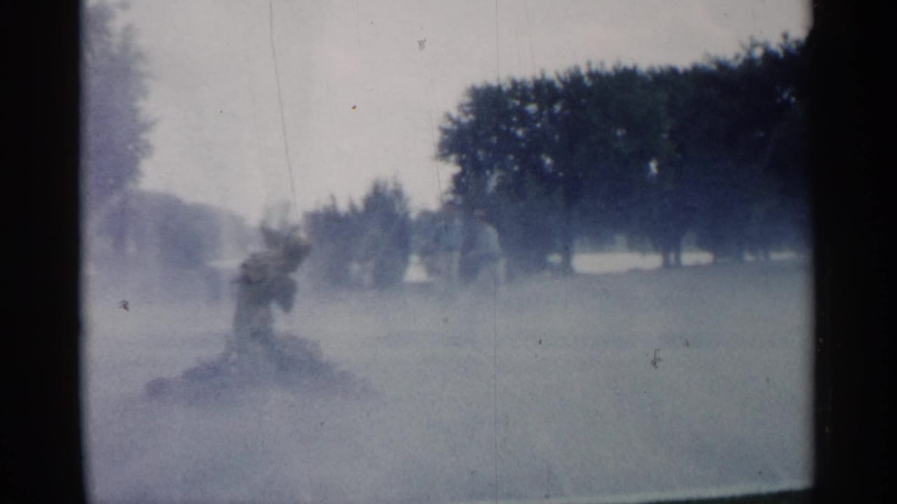 Hazy park view with trees, grass, and a dark figure partly obscured by mist.