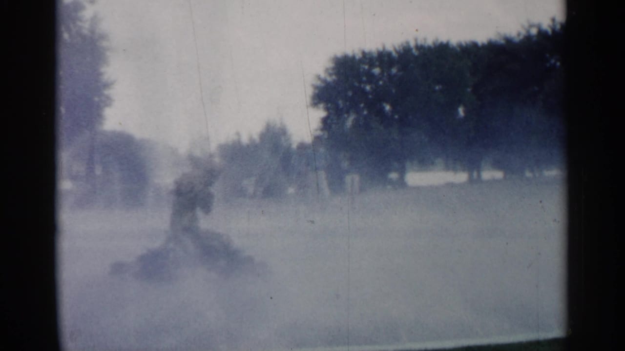 Foggy park lawn with trees and a distant figure emerging through mist.
