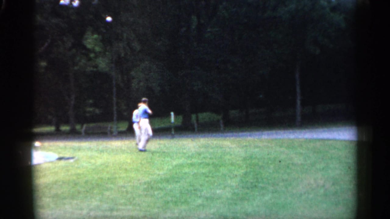 Man standing or walking on grass in a tree-lined park.