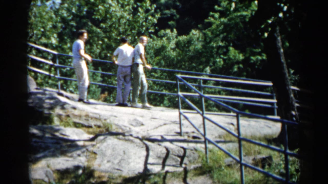 Three men stand on a rocky overlook beside a blue metal railing in a wooded area.