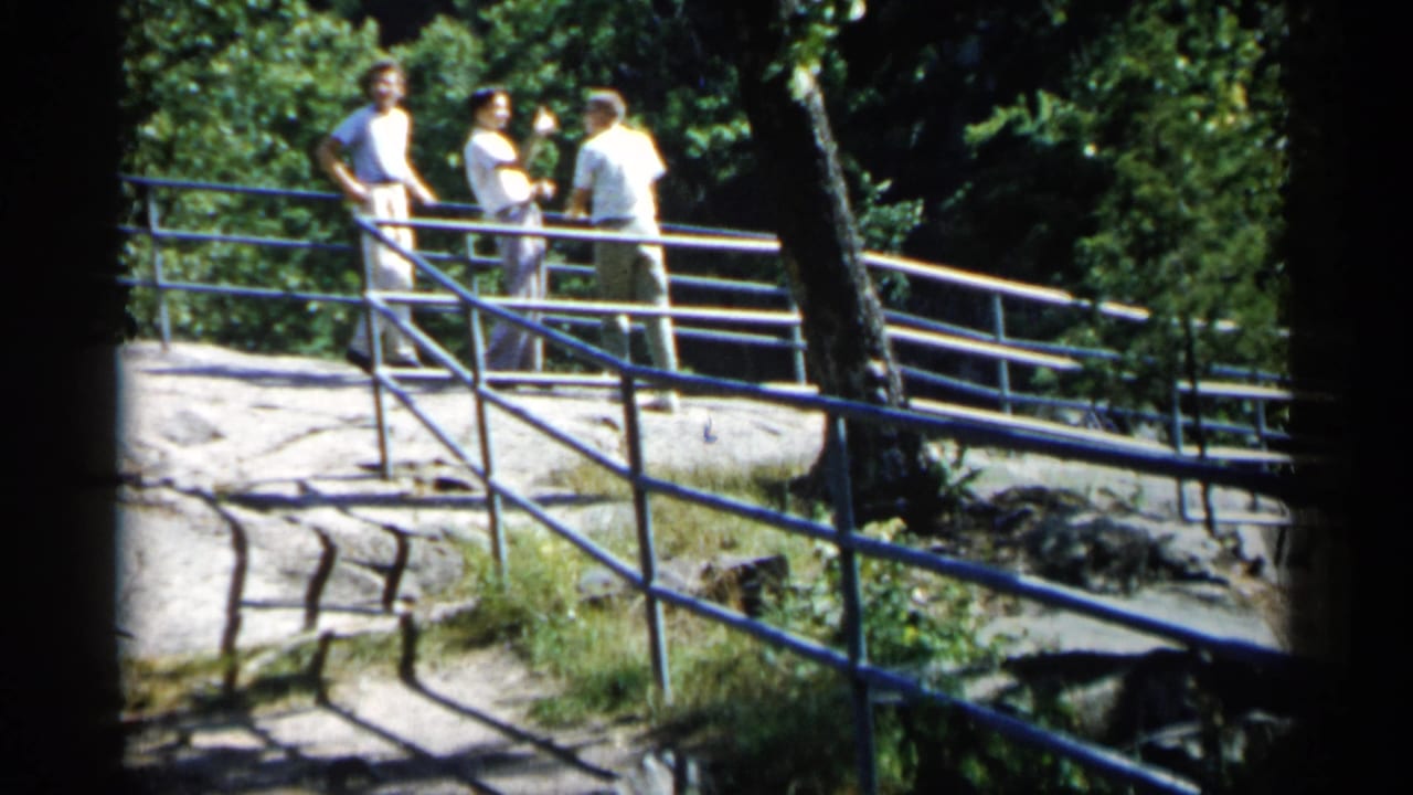 Three men gather by a railing on sunlit rock with trees behind them.