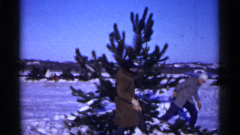 Two bundled adults work near a Christmas tree in a snow-covered Minnesota field, with distant structures on the horizon.