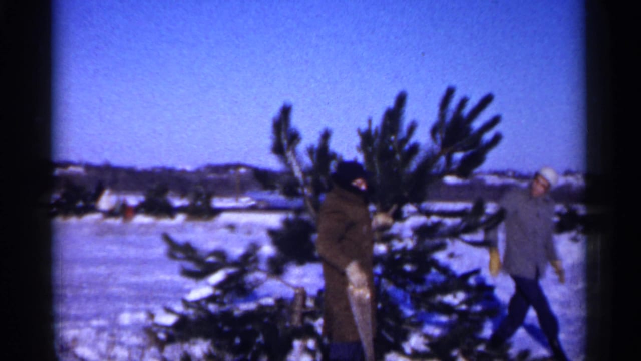 Minnesota 1961 home-movie frame showing two men in winter coats handling a pine tree in a snow-covered field.