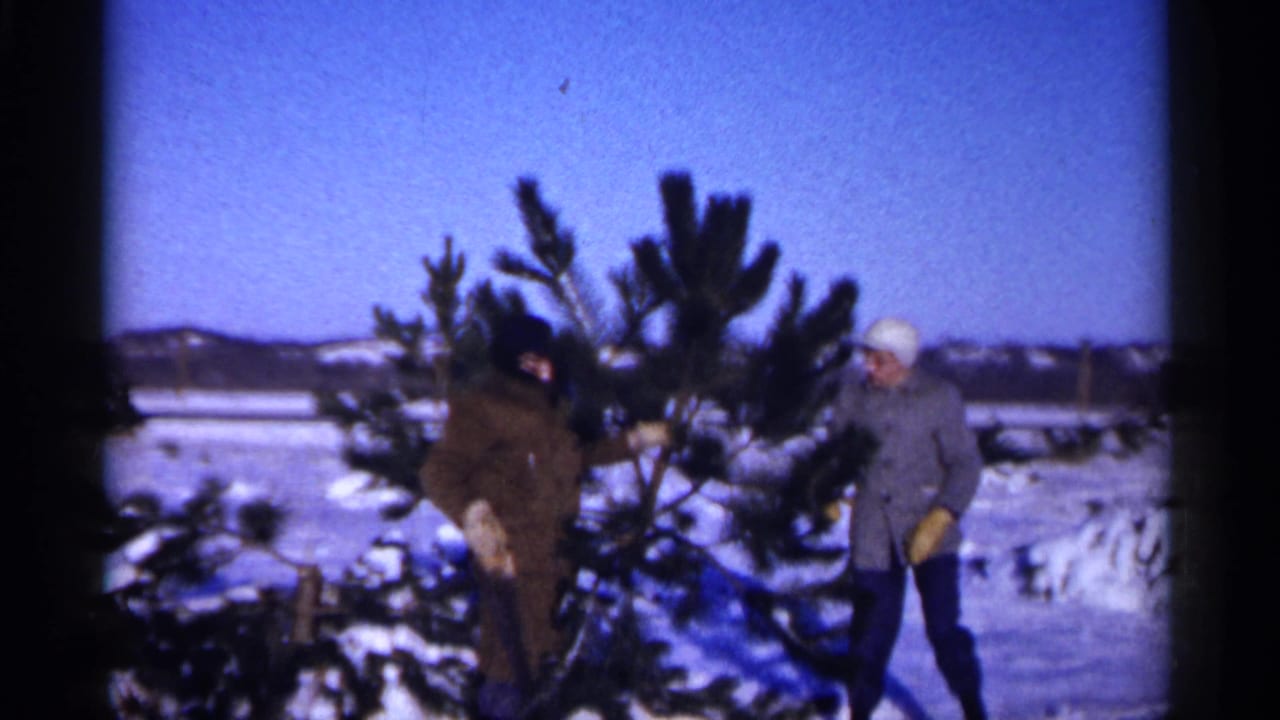 A man holds a pine tree while another man in a light hat stands nearby in snow.
