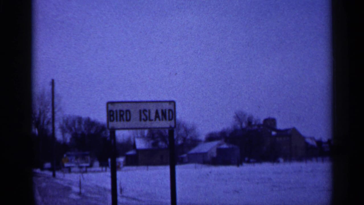 Bird Island, Minnesota roadside sign stands in a snow-covered rural winter scene with bare trees, utility poles, and distant buildings.