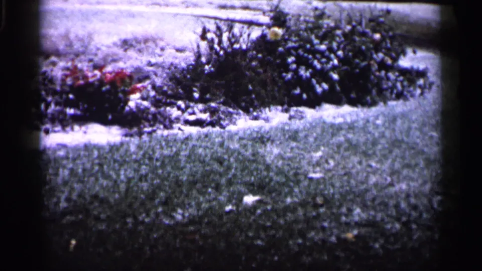 1961 Minnesota 8mm frame showing a snowy yard with low bushes, red flowers, and soft faded color.