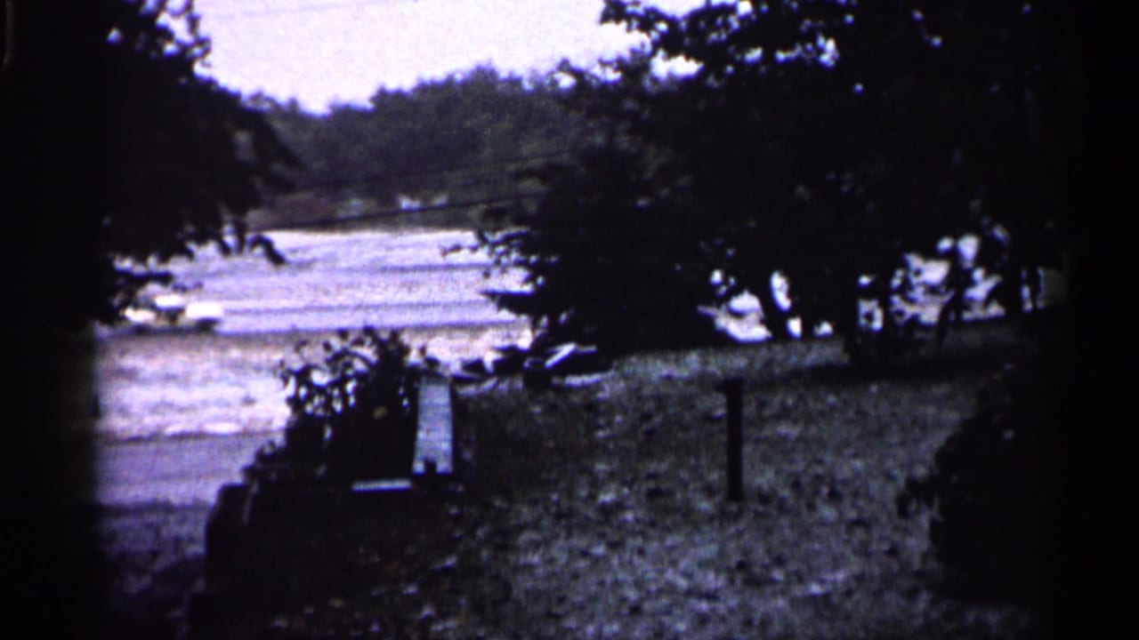 1961 Minnesota roadside view with snow, trees, fence posts, and a blurred vehicle moving past.