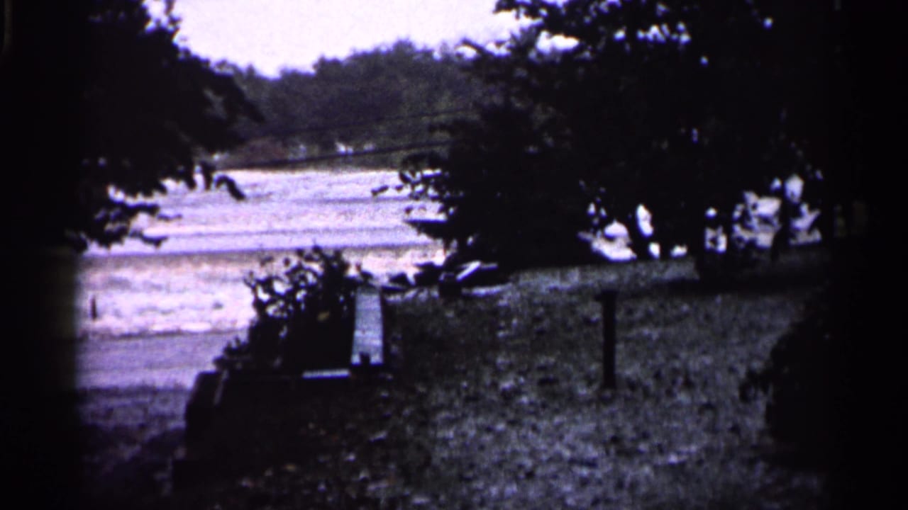 1961 Minnesota 8mm frame showing trees in shadow, a grassy embankment, and a river in the background.