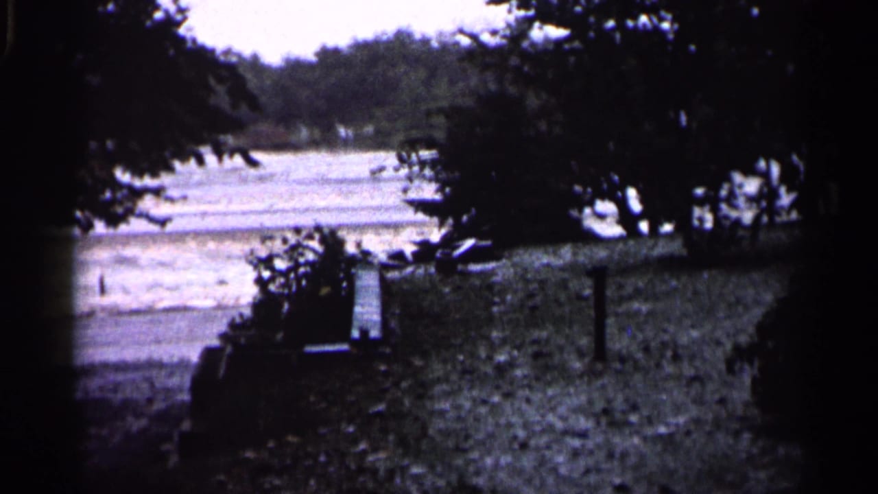 1961 Minnesota riverside view with dark tree silhouettes framing grass and water in soft 8mm focus.