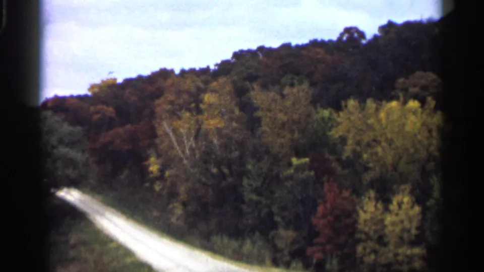 1961 Minnesota 8mm frame of a light-colored rural road winding past dense autumn trees on a wooded hillside.