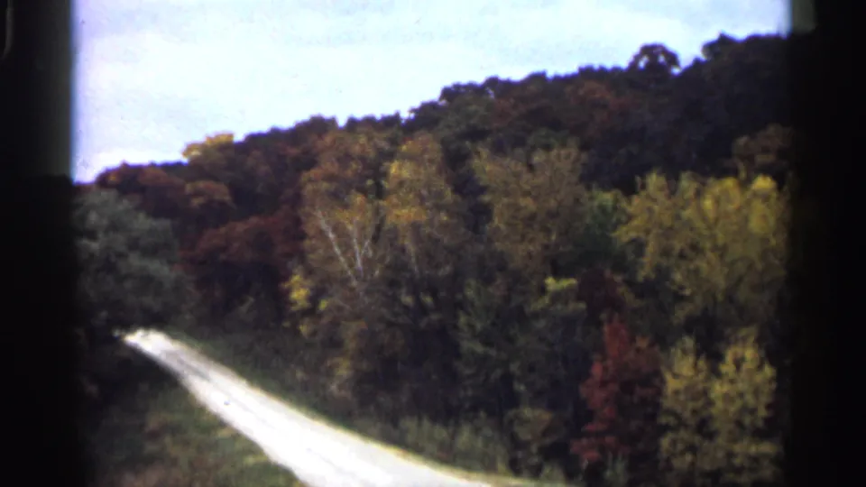 1961 Minnesota home-movie frame showing a winding country road beside dense autumn forest and a dark hillside.