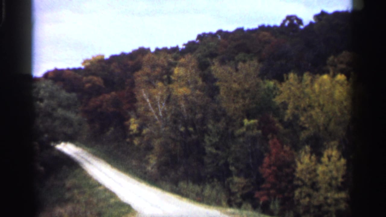 1961 Minnesota 8mm frame showing a rural dirt road bending through green, yellow, and brown autumn woodland.