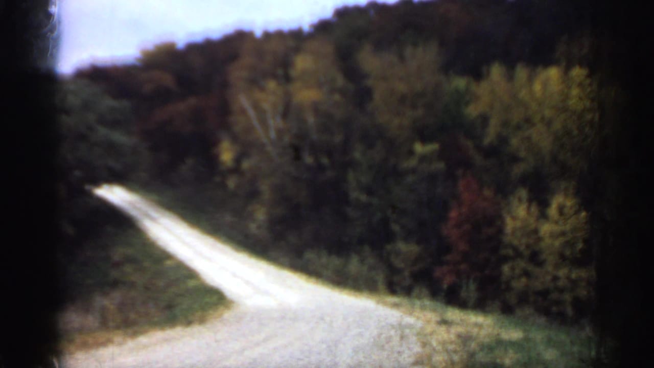 Winding pale road passes between dense autumn trees and a wooded slope.