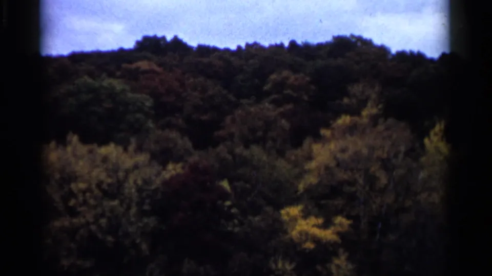 Minnesota autumn woodland view in 8mm color, showing a dark tree line and pale sky after the farm title card.