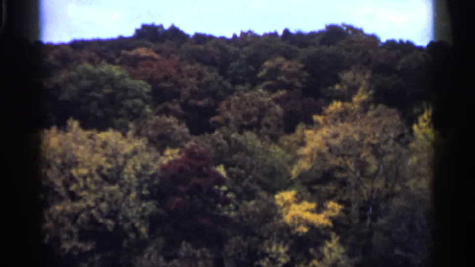 1961 Minnesota home-movie view of mixed autumn foliage, with green, yellow, and reddish trees below a bright sky.