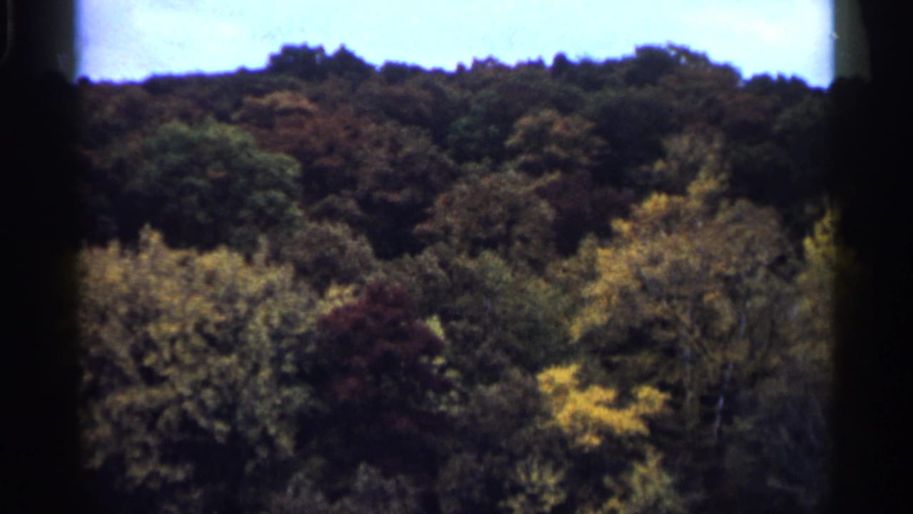 1961 Minnesota 8mm frame showing a wooded hillside with autumn foliage seen through dark frame edges.
