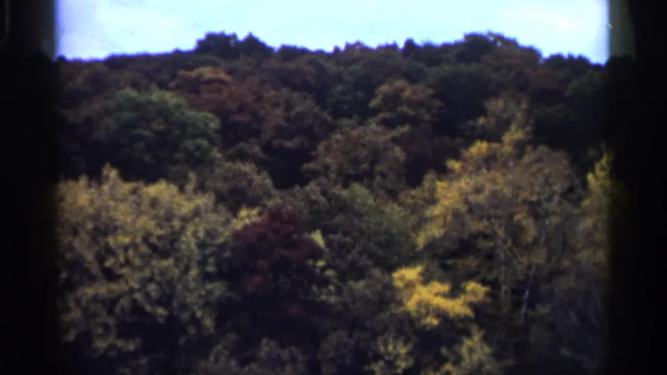 1961 Minnesota 8mm frame showing a wooded hillside with autumn foliage seen through dark frame edges.