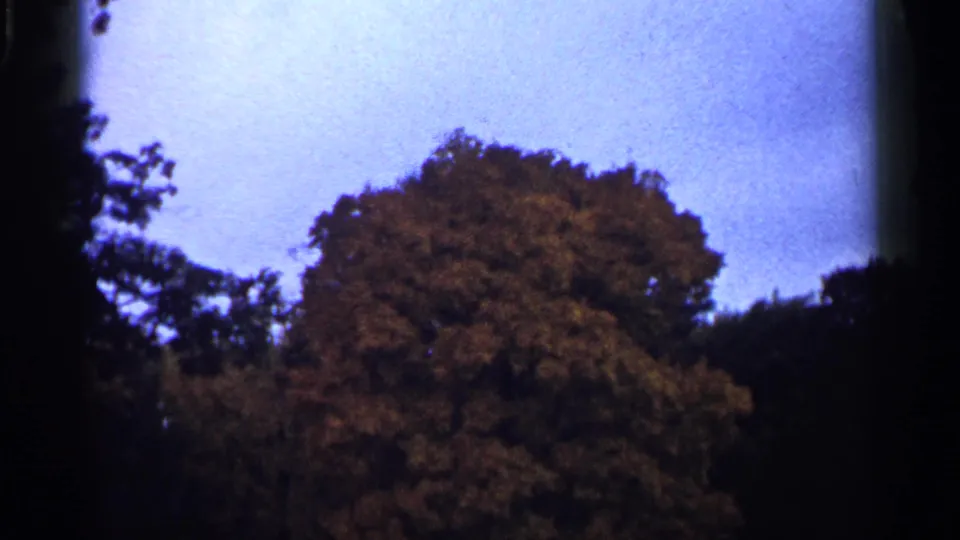 1961 Minnesota home-movie frame showing autumn foliage filling the lower frame beneath open sky.