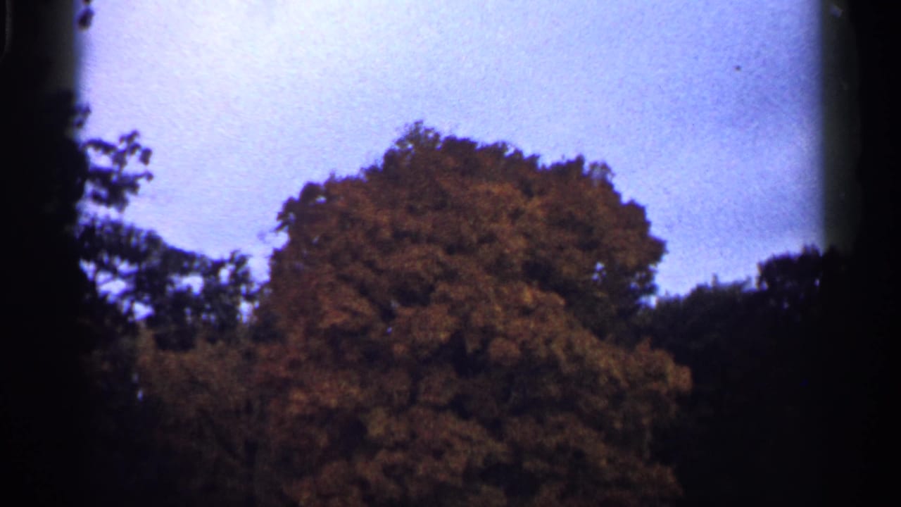 1961 Minnesota 8mm frame showing an orange-brown autumn tree canopy below a pale blue sky, with soft focus and dark film gate edges.