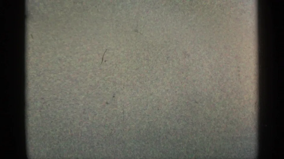 Grainy 8mm frame from the 1961 Minnesota clip showing a pale blank leader-like section with dust marks and dark vertical edge shadow.