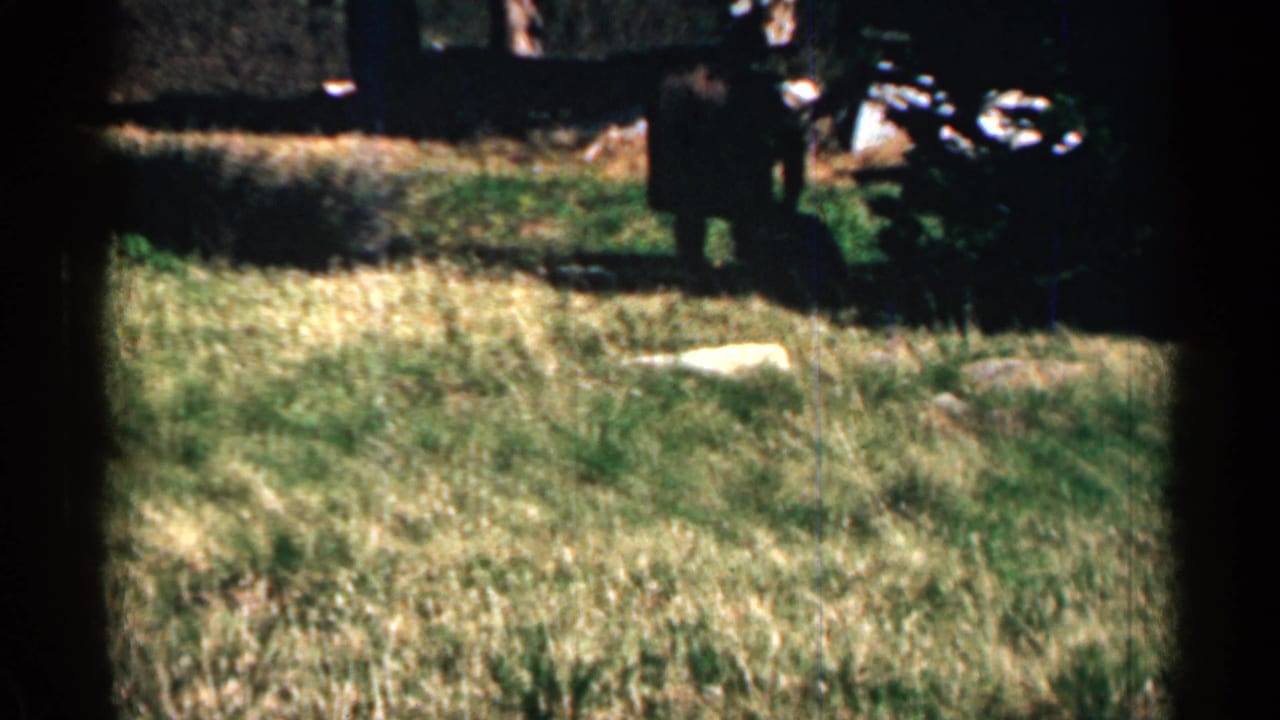 1960s 8mm frame of distant figures in a sunlit grassy clearing, with trees and indistinct dark equipment or vehicle shapes nearby.