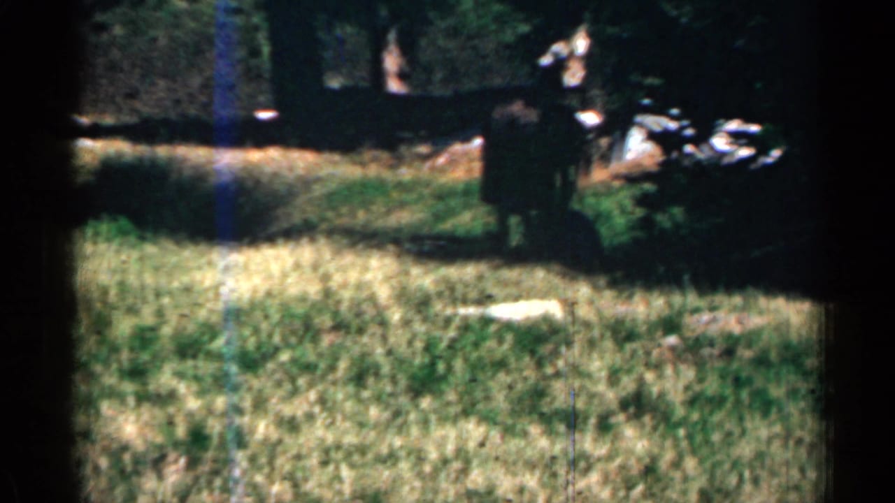 Soft 8mm view of a distant figure standing near trees in a grassy camp clearing, with shaded woods behind.