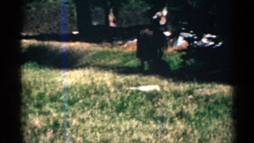 Soft 8mm view of a distant figure standing near trees in a grassy camp clearing, with shaded woods behind.