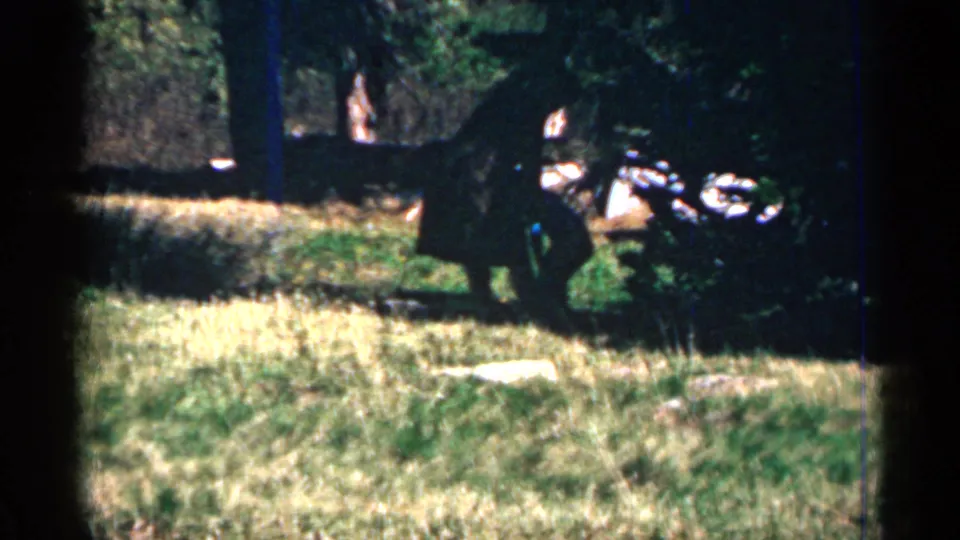 1960s 8mm home-movie frame showing two distant figures in tall grass beside trees and indistinct dark equipment or a vehicle.