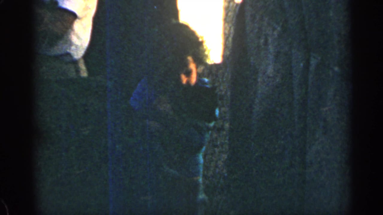 Small child in a blue top holds a puppy beside tree trunks in a dark wooded area.