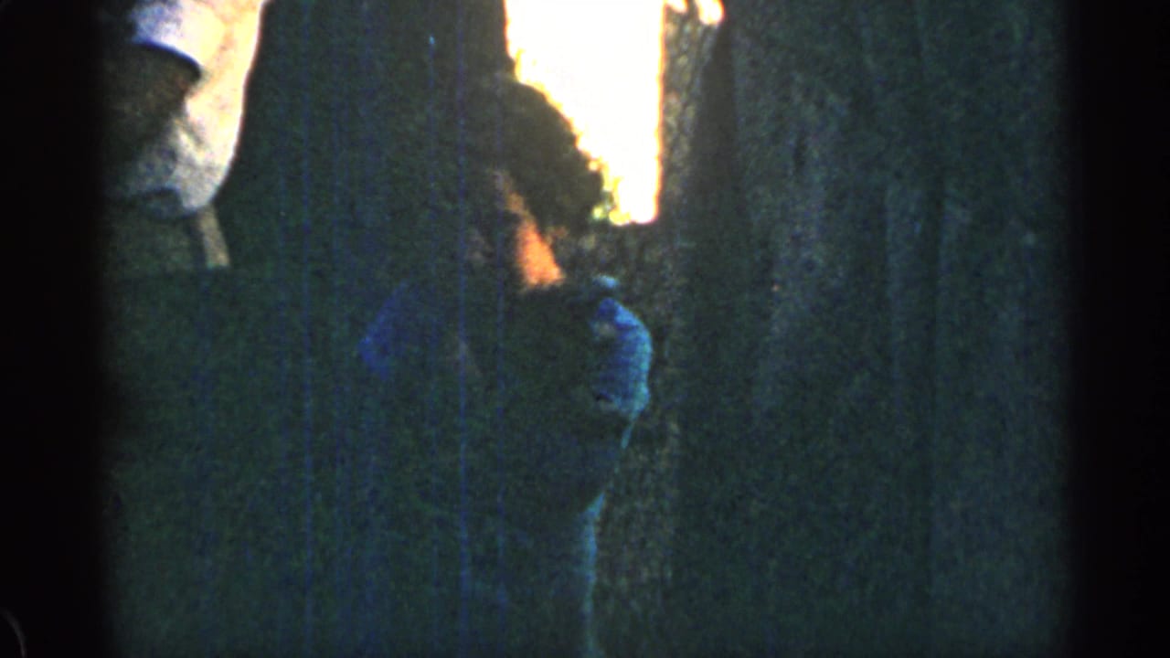 Child turns slightly while holding a puppy near tree trunks and shadowed foliage.