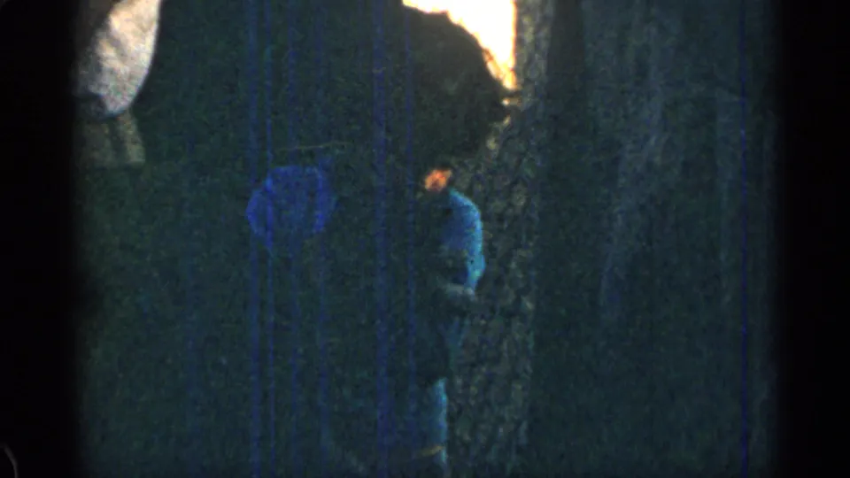 1963 Colorado 8mm frame showing the child lower in the frame beside a tree, with the puppy partly obscured by motion and shadow.