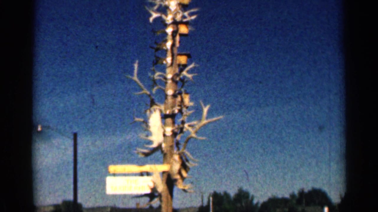 1963 Colorado 8mm frame showing a tall wooden tower with antlers and small boxes against a bright blue sky.