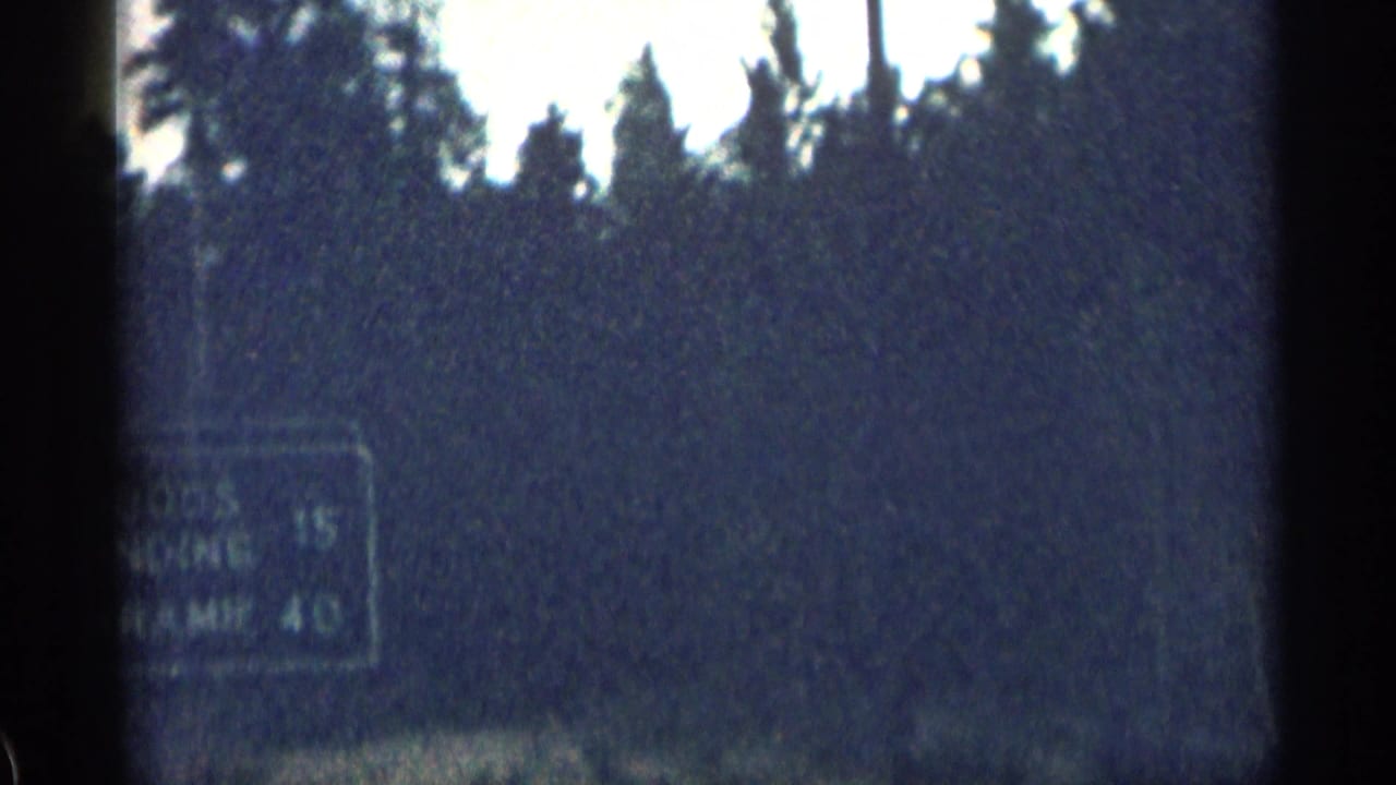 Blurred green roadside sign beside dark evergreen trees under a cloudy sky.