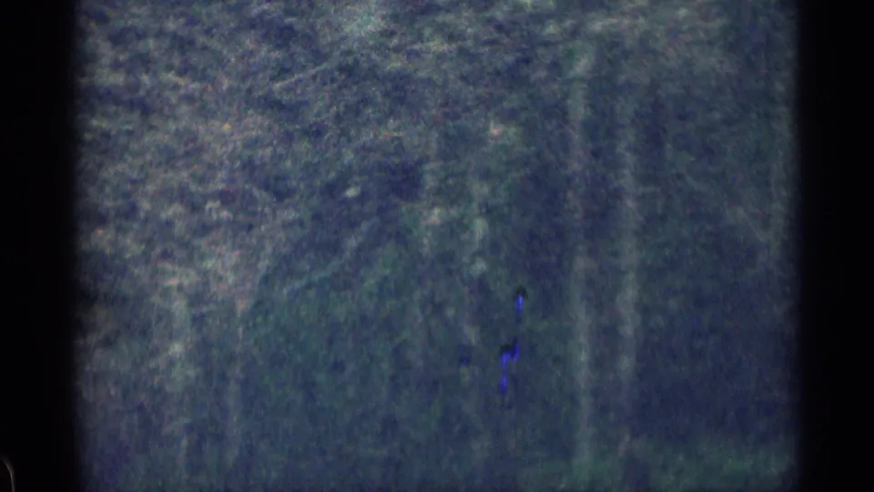 A dim, grainy closing frame shows dark hillside vegetation or road-edge terrain with strong 8mm texture and limited visible detail.